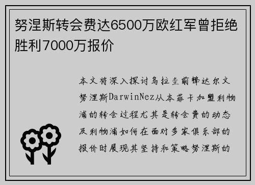 努涅斯转会费达6500万欧红军曾拒绝胜利7000万报价